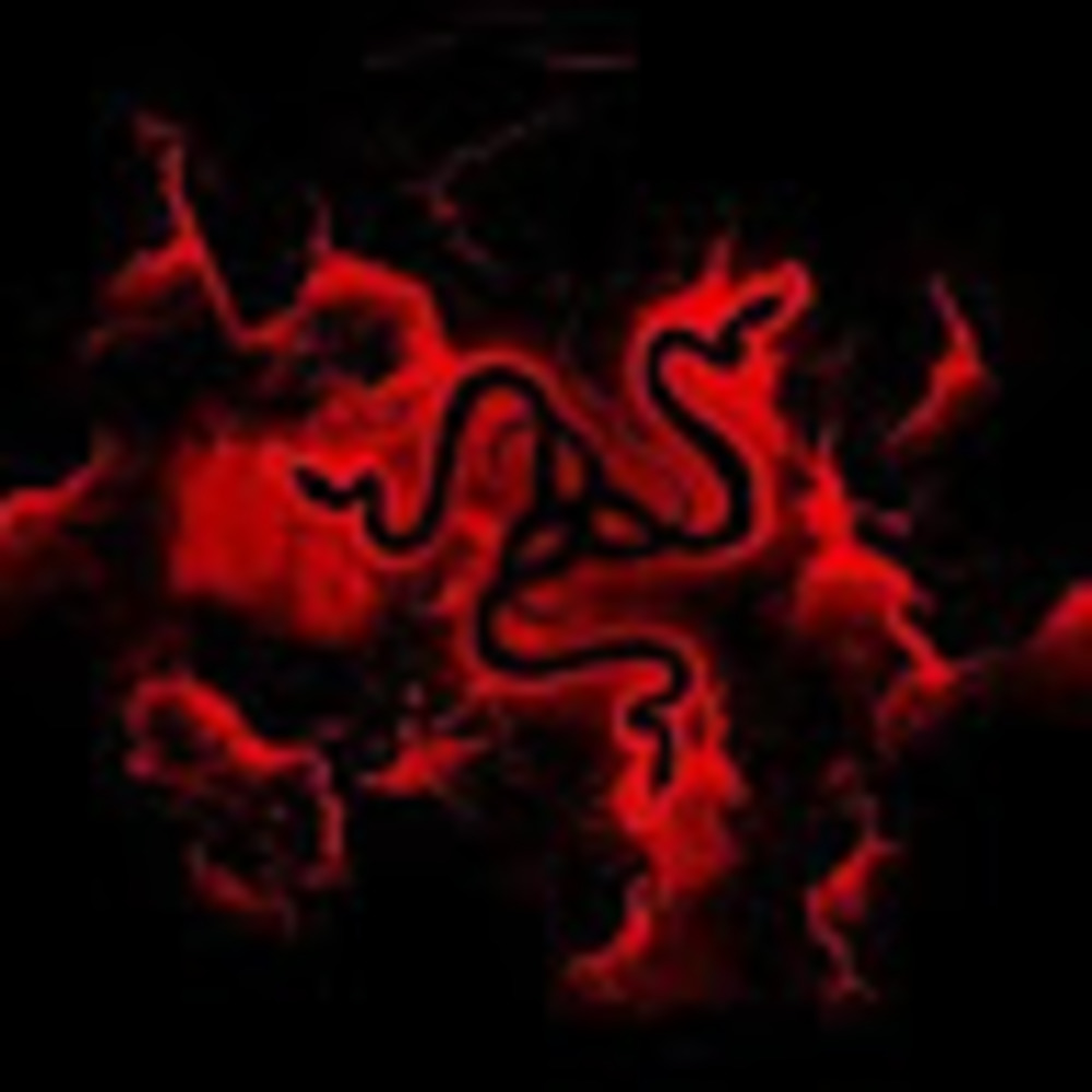 Meet your Posher, Shirley